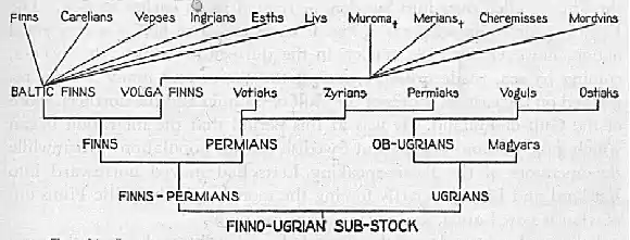 troe-fig.31